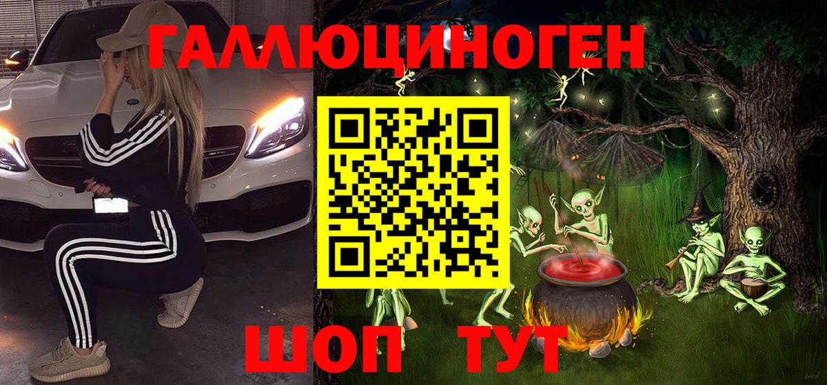Псилоцибиновые грибы Psilocybe Щёлково