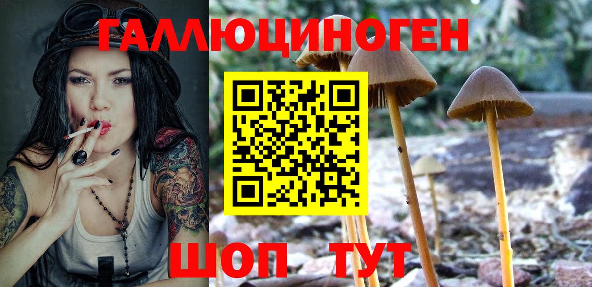Галлюциногенные грибы Psilocybine cubensis  Вход с VPN  Щёлково 